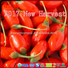 2017 New Arrival Nova Colheita Goji baga alimentos saudáveis ​​frutas secas wolfberry orgânica